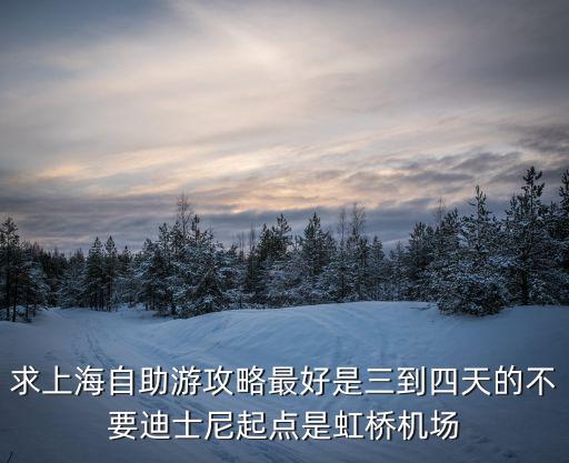 上海自由行攻略3天，在上海玩3天 求個旅游攻略 求個詳細的路線