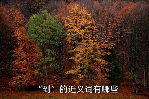 “到”的近義詞有哪些