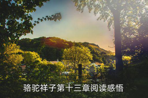 駱駝祥子閱讀感悟,駱駝祥子第五章閱讀感悟