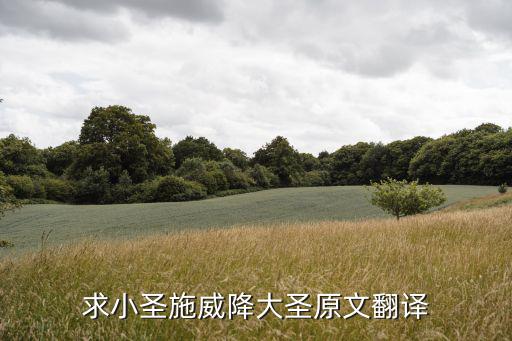 小圣施威降大圣,求小圣施威降大圣原文翻譯出爐