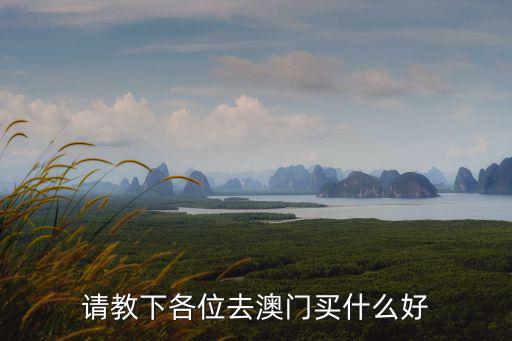 請教下各位去澳門買什么好