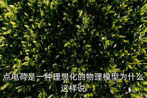 點電荷是一種理想化的物理模型為什么這樣說