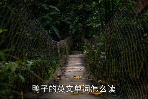 巨鴨,關于鴨子的動漫