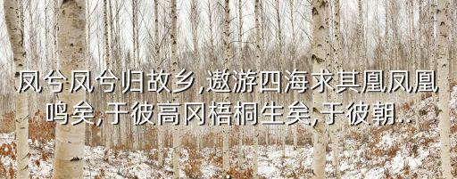 鳳兮鳳兮歸故鄉(xiāng),遨游四海求其凰鳳凰鳴矣,于彼高岡梧桐生矣,于彼朝...