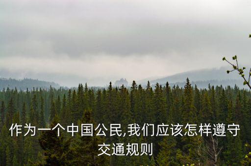 作為一個中國公民,我們應該怎樣遵守交通規則