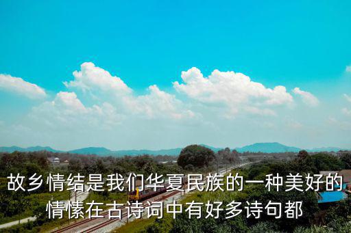 故鄉情懷，故鄉情懷酒怎么樣