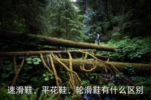 速滑鞋、平花鞋、輪滑鞋有什么區別