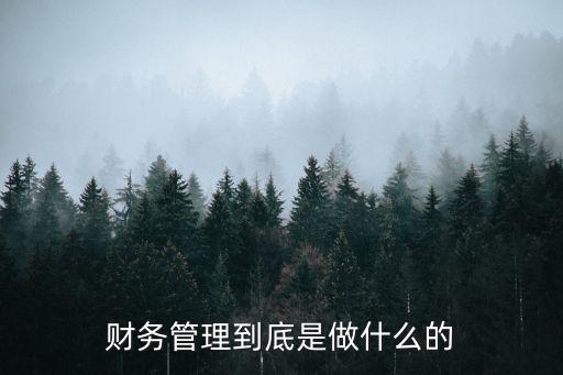 財務管理到底是做什么的