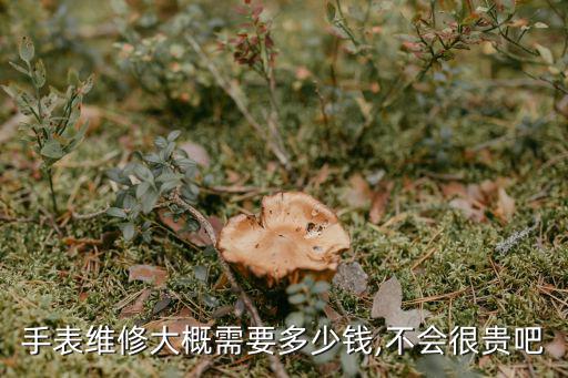 手表維修大概需要多少錢,不會(huì)很貴吧
