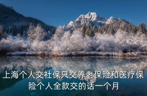 上海個人交社保只交養老保險和醫療保險個人全款交的話一個月