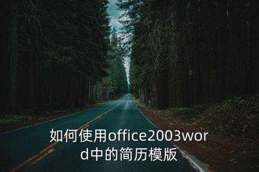 如何使用office2003word中的簡歷模版