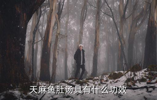 天麻魚肚湯具有什么功效