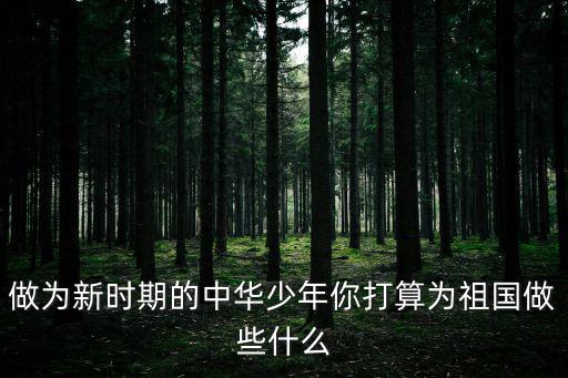 做為新時期的中華少年你打算為祖國做些什么