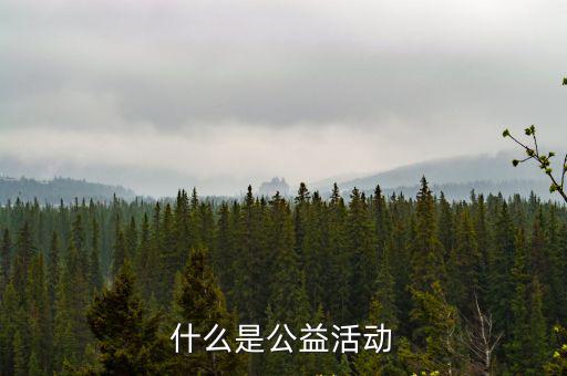 什么是公益活動(dòng)