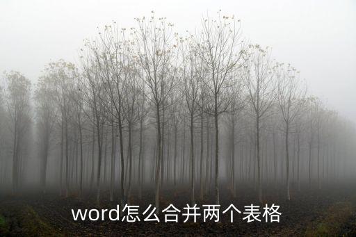 兩個表格怎么合并,怎么把兩個表格合并?
