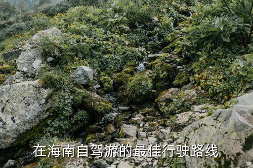 在海南自駕游的最佳行駛路線