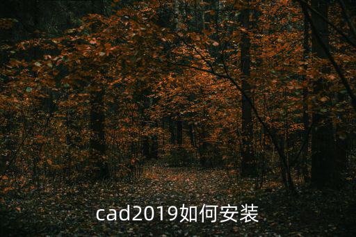 cad2019如何安裝