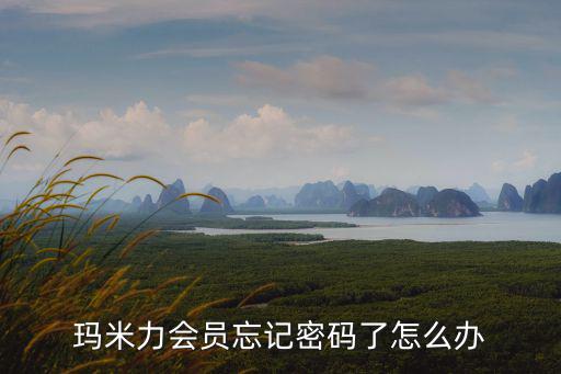 瑪米力會員忘記密碼了怎么辦