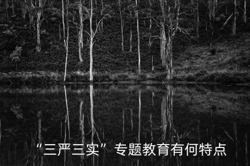 “三嚴(yán)三實(shí)”專題教育有何特點(diǎn)