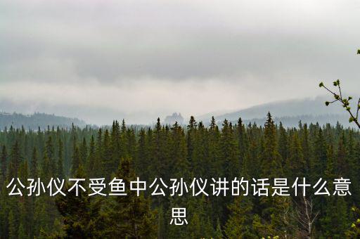 公孫儀,公孫儀不受魚中之謎的答案