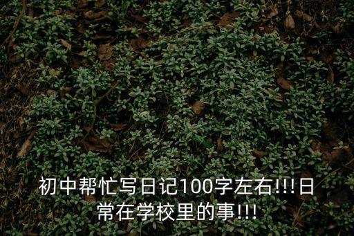 初中日記100字,未來挑戰生活
