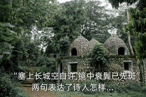 鏡中衰鬢已先斑,塞上長城空自許，鏡中衰鬢已先斑