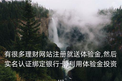 有很多理財(cái)網(wǎng)站注冊(cè)就送體驗(yàn)金,然后實(shí)名認(rèn)證綁定銀行卡,利用體驗(yàn)金投資...