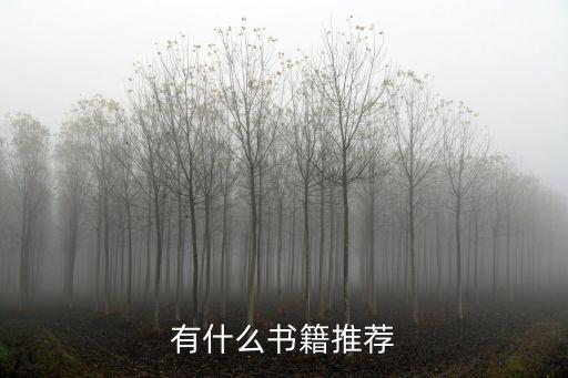 有什么書籍推薦