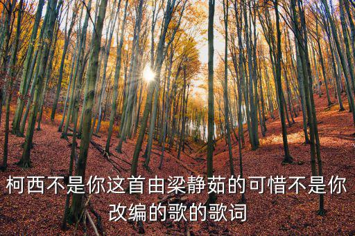 可惜不是你歌詞,可惜不是你】梁靜茹改編歌詞錯別字回收