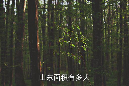 山東省面積多大,中國山東省面積有多大?