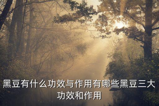 黑豆有什么功效與作用有哪些黑豆三大功效和作用