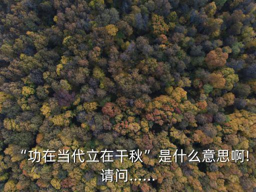 “功在當代立在干秋”是什么意思啊!請問……