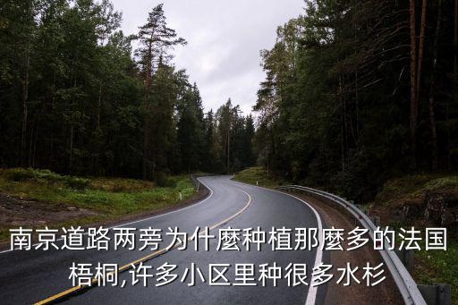 南京道路兩旁為什麼種植那麼多的法國梧桐,許多小區里種很多水杉