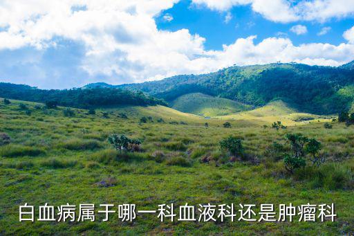 白血病屬于哪一科血液科還是腫瘤科