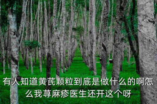 有人知道黃芪顆粒到底是做什么的啊怎么我蕁麻疹醫生還開這個呀