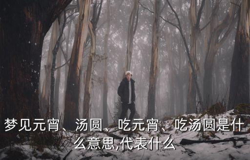 夢(mèng)見(jiàn)吃湯圓,中國(guó)元宵節(jié)吃湯圓表明什么都會(huì)解決