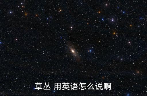 草地英語，綠色的草地英語怎么說