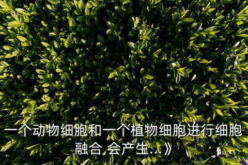 一個(gè)動(dòng)物細(xì)胞和一個(gè)植物細(xì)胞進(jìn)行細(xì)胞融合,會(huì)產(chǎn)生...》