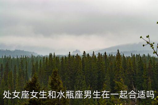 處女座女生和水瓶座男生在一起合適嗎