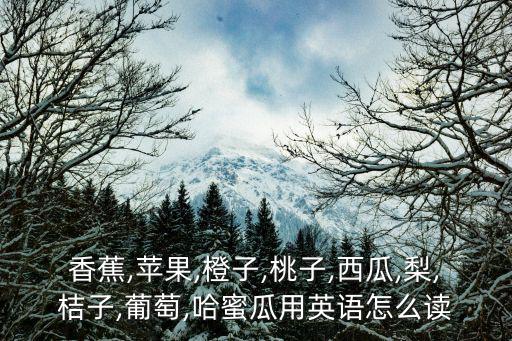香蕉,蘋果,橙子,桃子,西瓜,梨,桔子,葡萄,哈蜜瓜用英語怎么讀