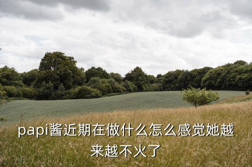 papi醬微博,網紅papi醬轉型當老板做幕后工作