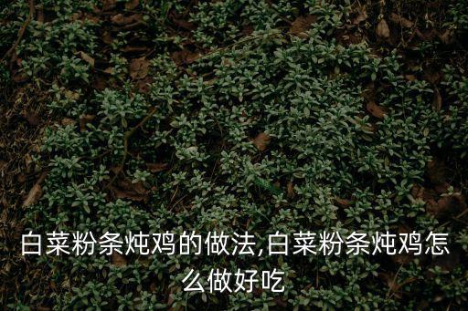 白菜粉條燉雞的做法,白菜粉條燉雞怎么做好吃