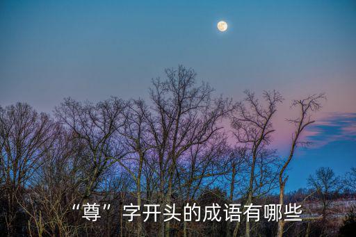 “尊”字開頭的成語有哪些