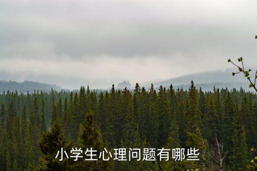 小學生心理問題有哪些