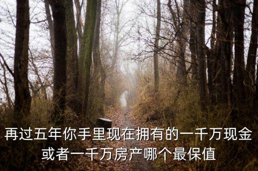 再過五年你手里現在擁有的一千萬現金或者一千萬房產哪個最保值