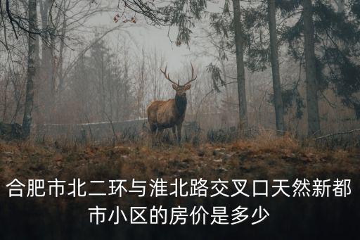 合肥市北二環與淮北路交叉口天然新都市小區的房價是多少