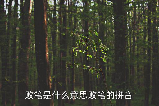 敗筆是什么意思敗筆的拼音