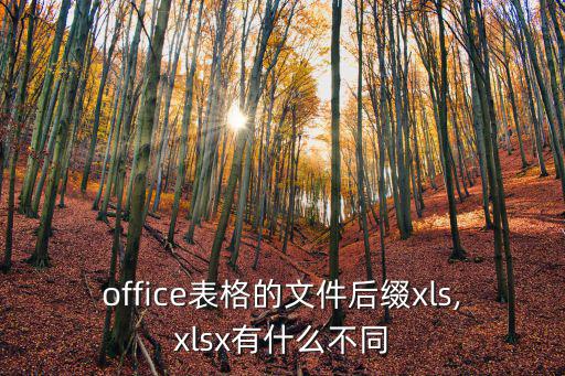 表格后綴,財政預算案2021:如何算?