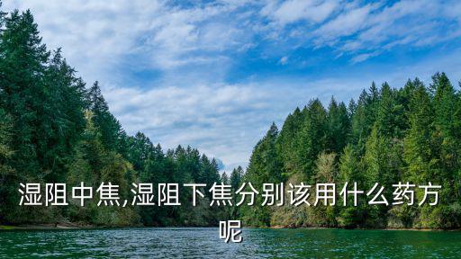 濕阻中焦,濕阻下焦該用什么藥方?