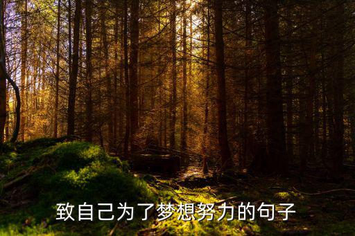 為了自己的夢(mèng)想,追尋夢(mèng)想路上的腳步